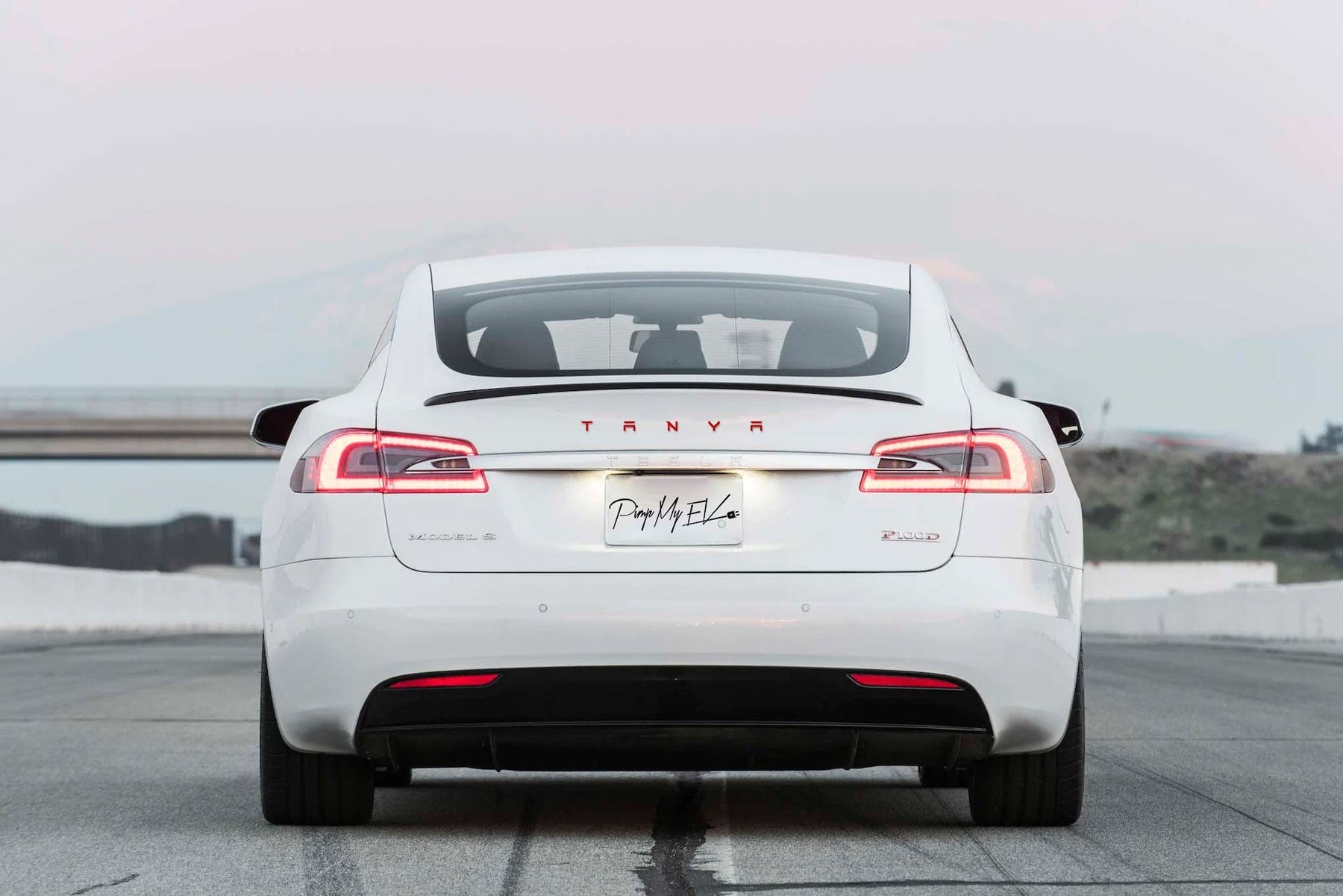 Custom Roadster Style Metal Emblems In Tesla Font For Tesla Model S 3 ...